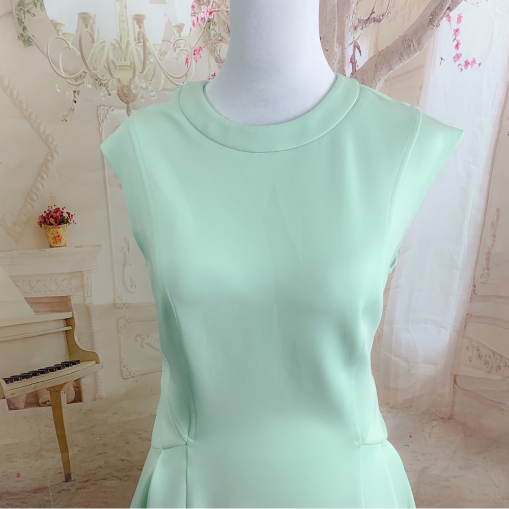 Ted Baker NISTEE SIDE PLEAT WOMEN'S SKATER DRESS PALE GREEN - Picture 6 of 12